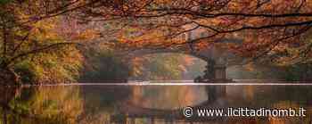 Foliage alla Reggia di Monza: i vincitori della sfida fotografica - Il Cittadino di Monza e Brianza