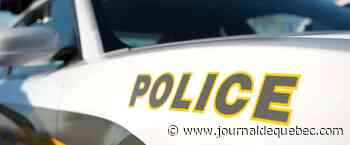 Château-Richer: un bûcheron grièvement blessé