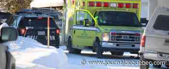 [IMAGES] Château-Richer: un bûcheron grièvement blessé