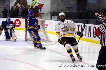 Chastko chasing history with every goal - Brandon Sun