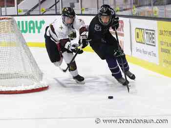 Flexibility key for high school hockey league - Brandon Sun