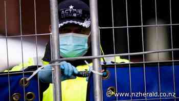 Covid 19 coronavirus Delta Omicron variant: Twenty-two months of MIQ border hardship - New Zealand Herald