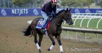 Post Time: Derby trail cranks up in Louisiana - Buffalo News