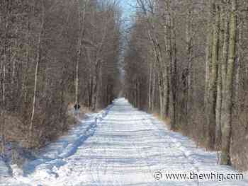 Frontenac County looking at permit system for K&P Trail - The Kingston Whig-Standard
