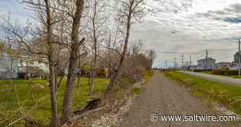 Coal Town Trail Society receives federal funding for new trail amenities - SaltWire Network