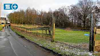 Herdecke: „Waldbaden deluxe“ schreckt Anwohner auf - Westfalenpost
