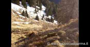 Escursionista morta a malga Coel in Trentino - Gazzetta di Parma