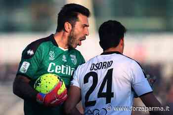 Parma-Frosinone, la probabile formazione di ForzaParma - Forza Parma