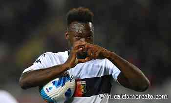 Genoa: Caicedo verso la rescissione, Inter e Lazio ci pensano - Calciomercato.com