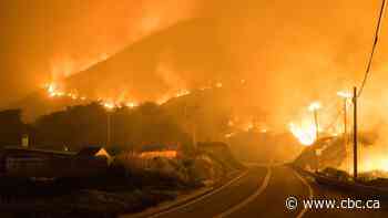 Wind-driven California wildfire above Big Sur forces hundreds to flee area