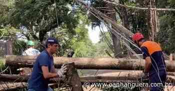 Cotia: Defesa Civil chega a esperar 12h para Enel desligar rede de energia - Jornal O Anhanguera
