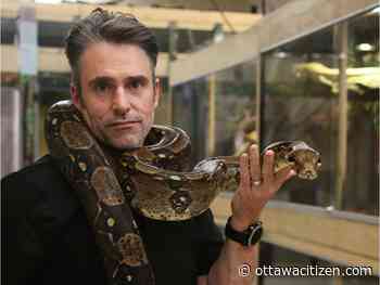 Little Ray's makes public appeal as pandemic threatens reptile centre