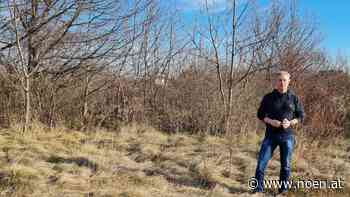 Neuer Speicher - Neunkirchen: Millionenprojekt für sichere Wasserreserve - NÖN.at