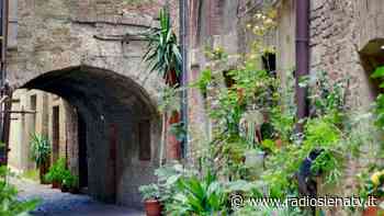 Siena, il Leocorno apporrà una targa in memoria di Vasco Borgogni e Ada Rosi - RadioSienaTv