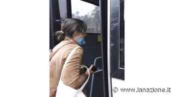 Autolinee Toscane, 39 assenze a Siena: ecco tutte le corse che resteranno scoperte - La Nazione - LA NAZIONE