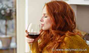 Red wine wards off coronavirus... but not beer, according to new research