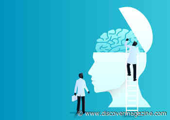 Are Rocket Scientists and Brain Surgeons Any Smarter than the Average Person?