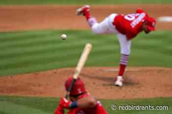 An argument for the Cardinals to sign Kyle Schwarber or Nelson Cruz - Red Bird Rants