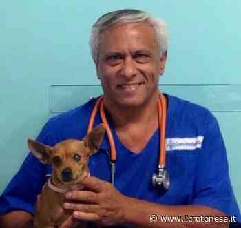 Presentata proposta per chiedere di intitolare canile di Crotone al Dottor Sorriso - Il Crotonese