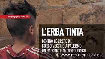 "L'erba tinta", il racconto degli educatori di strada - Redattore Sociale