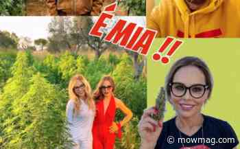 Sanremo in erba: Naike Rivelli risponde a MOW e Twitter ci riempie di insulti (dimostrando che nessuno ci ha capito un CBD) - MOW