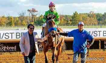 Mychel Sánchez suspendido 60 días por supuestamente apostar en las carreras de caballo - Meridiano