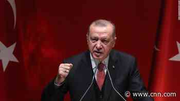 Turkish journalist detained after 'insulting' President Erdogan in a TV interview