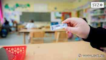 Corona in Ludwigslust-Parchim: Immer mehr Kinder in Quarantäne | svz.de - svz.de