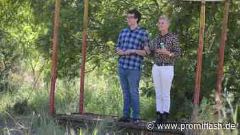 Ihn wollen Daniel und Sonja im Dschungelcamp siegen sehen - Promiflash.de