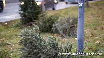 Kriminalität - Siegen - Fäuste fliegen: Streit um Weihnachtsbaum eskaliert - Panorama - Süddeutsche Zeitung