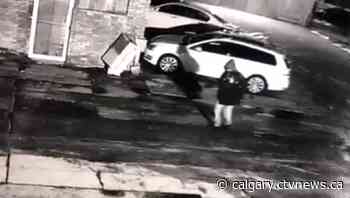 Lethbridge business broken into, possible suspect caught on video | CTV News - CTV News Calgary