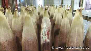 Foodwatch kritisiert neues Konzept für Lebensmittelkontrollen | hessenschau.de | Wirtschaft - hessenschau.de