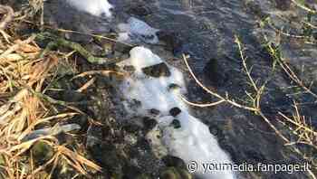 Chiazze di schiuma bianca nel Lago Fusaro a Bacoli - Calcio Fanpage
