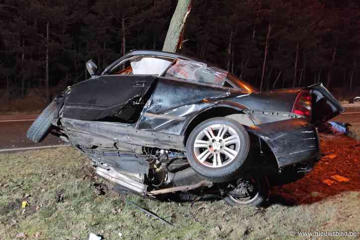 Jongedame (22) kritiek na crash op Ringlaan in Lommel