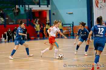 Per la Nox Molfetta turno di riposo. Alla ripresa il Foligno in casa - MolfettaViva