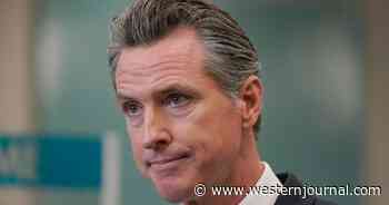 Newsom Apologizes After Likening Train Theft 'Groups' to Gangs