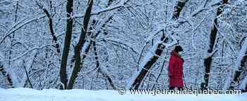 COVID-19: 3283 Québécois hospitalisés