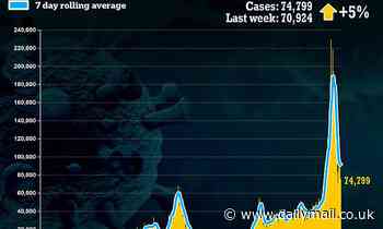 Coronavirus cases go UP for the first time in more than two weeks: 74,799 catch virus - Daily Mail