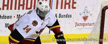 Geste raciste sur Subban: son bourreau écope