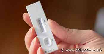 Coronavirus infection rates for each area of North Wales on January 23 - North Wales Live