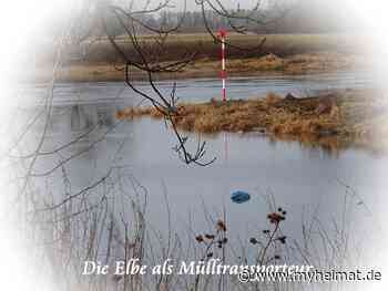 Die illegalen Müllentsorger werden immer dreister ! - Lutherstadt Wittenberg - myheimat.de