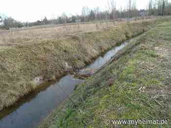 Seltsamer Ein/Ausstieg ! - Lutherstadt Wittenberg - myheimat.de