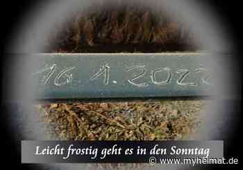 Leicht frostig ging es in den Sonntag - Lutherstadt Wittenberg - myheimat.de - myheimat.de