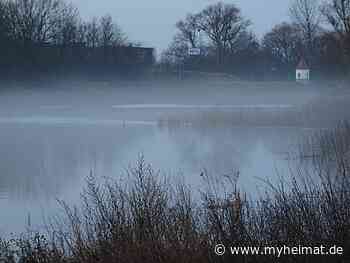 Immer wieder graue Tage ! - Lutherstadt Wittenberg - myheimat.de - myheimat.de