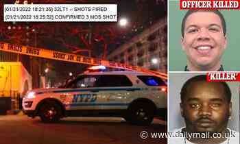 911 call log and audio reveals how NYPD officer, 22, was killed responding to domestic violence call