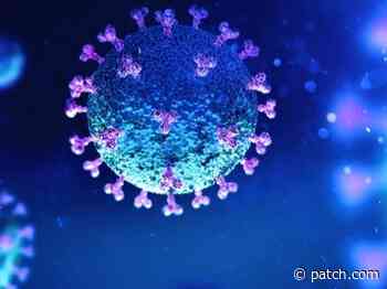 Branfords Coronavirus Infection Rate Remains High - Patch.com