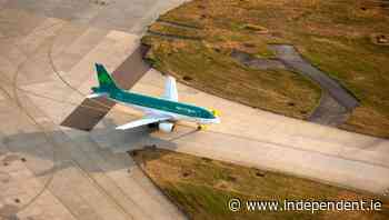 Aviation industry need help to get our tourism numbers soaring again - Independent.ie