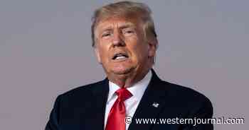 Trump Issues Warning to America About January 6 Committee: 'They'll Go After Children'