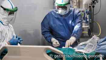 «Ci sono alcuni casi di pazienti aggressivi a Modena: si credono malati a causa di chi li cura» - La Gazzetta di Modena