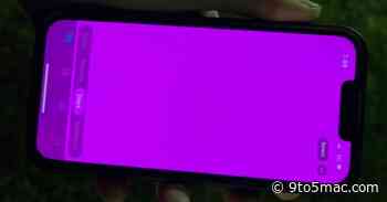 Some iPhone 13 users report pink screen issues, Apple says it’s a software bug